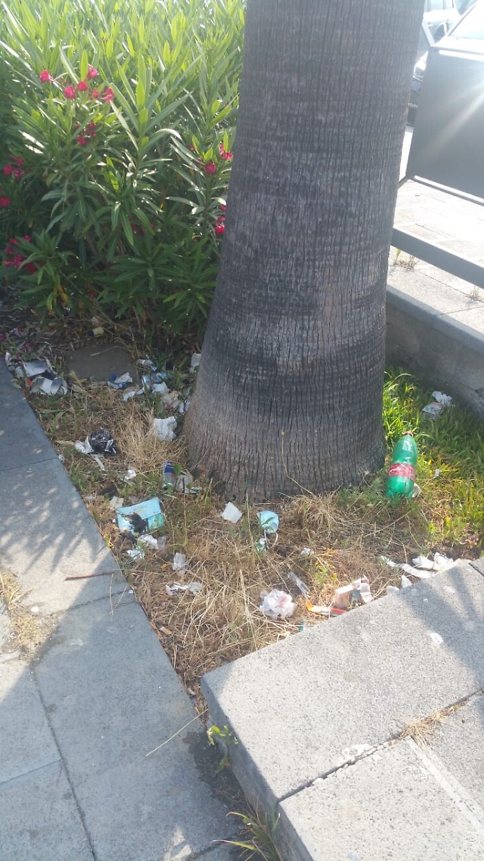 1623318315268_1623662834890