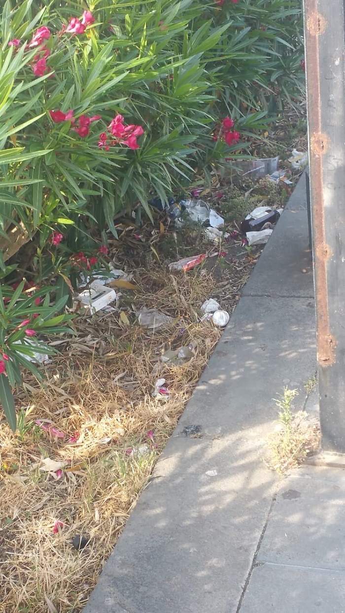 1623318315425_1623662837248