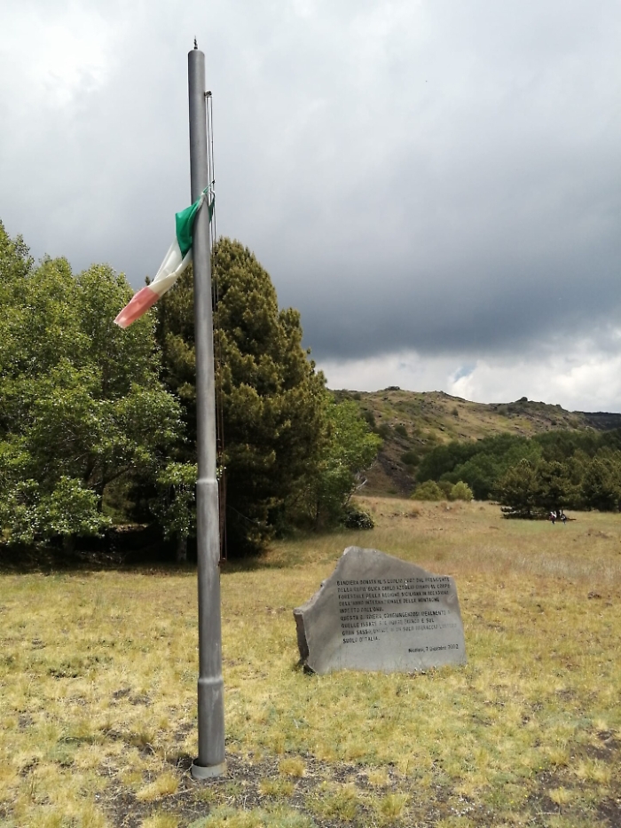 1623599659421_1623663047132