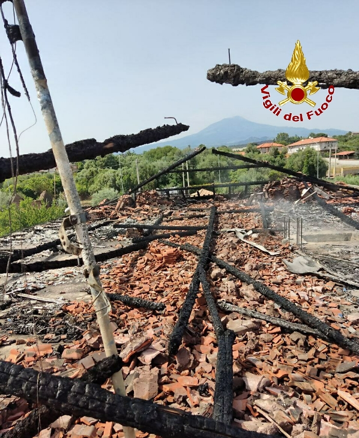 163150548-521ce472-fdec-47ff-bb3f-58a0ed4b94b0