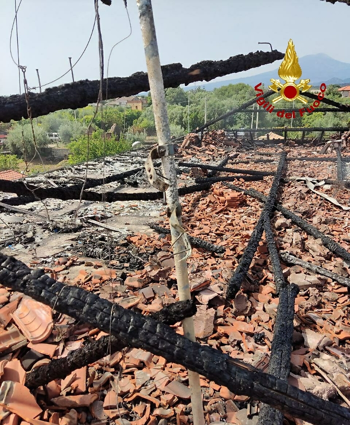 163150837-bda4652f-41a6-49e0-be1c-cb9b50a50b16