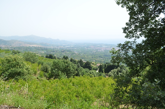 154500535-daa12255-cf9a-4963-8813-74dfcfbed5ed