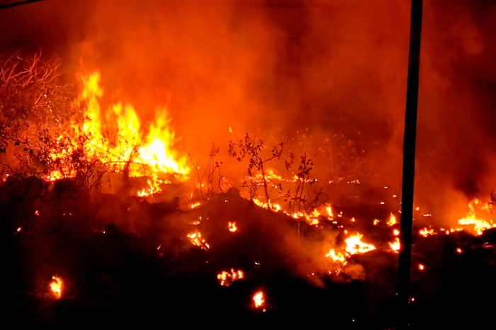 132524516-84464341-1b23-4fc5-9321-29988e0b00b6