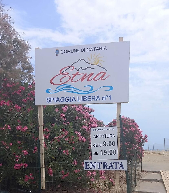 173257235-8d986de2-2ec2-4298-9fe7-91e92bcdea4f