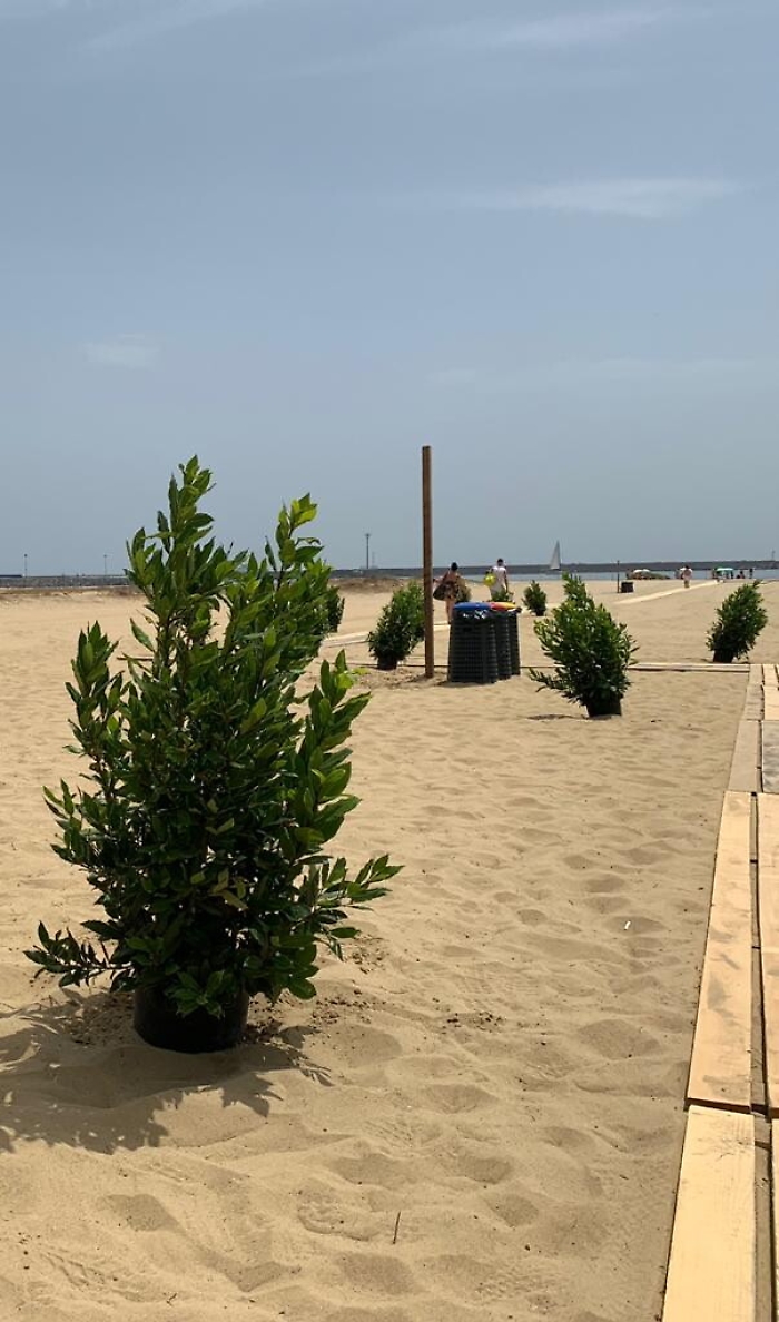 173257331-35d6cca8-fd02-4f50-997b-a058c7df7af0