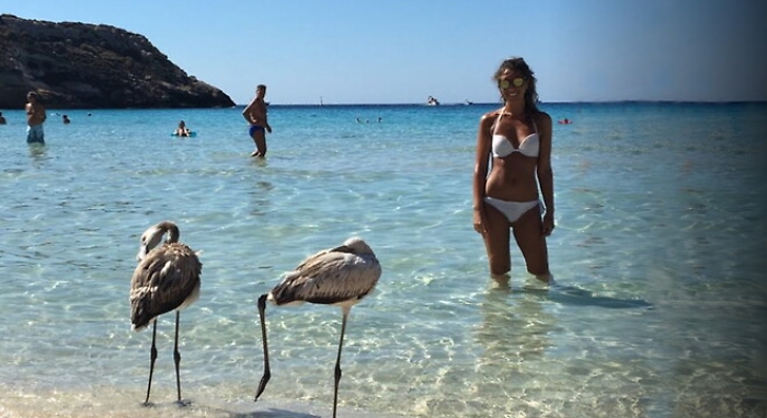 124105380-493793fb-c242-44b6-aa48-69d68d298cdd