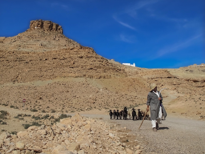 150307308-bc9631a6-05b6-408b-ae3d-dd5ffa396807