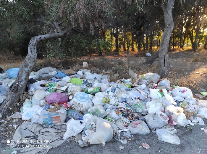 185145836-14872f42-ebf4-4147-8cf7-a6dbffc494c5