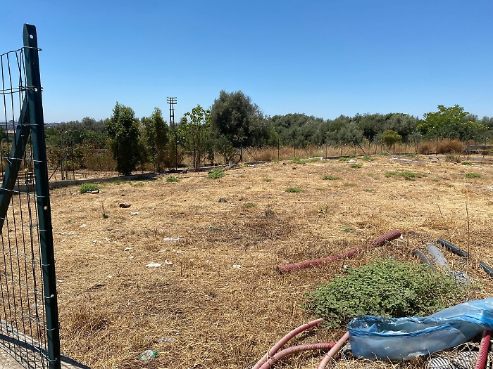 161453709-2f8f4f06-786d-4677-b7de-945b111b9efc