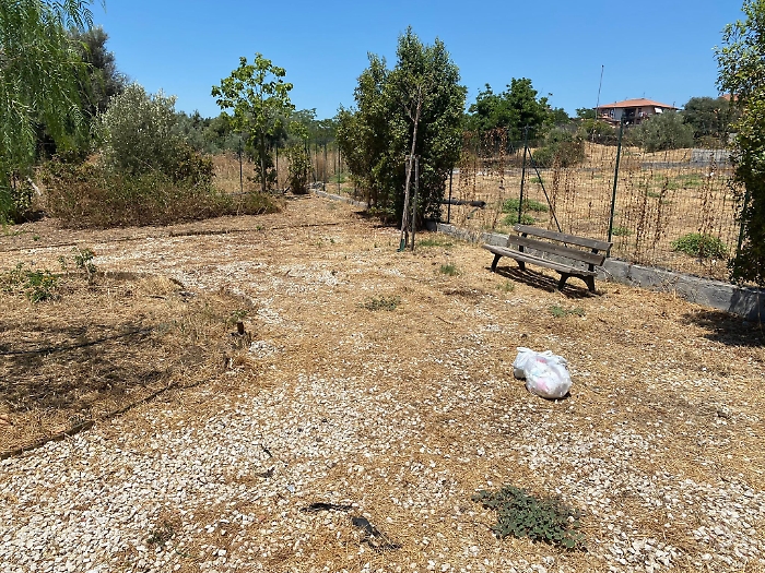 161454332-8ff490c3-0102-48bc-8536-c313b7774250