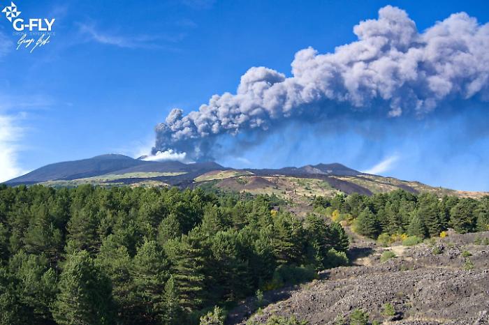 174335560-a9d84320-d2f4-407c-8c8b-6a2203cc6c0e