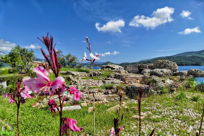 100129216-13e60c75-4a31-4ccd-933e-7eba928666ec