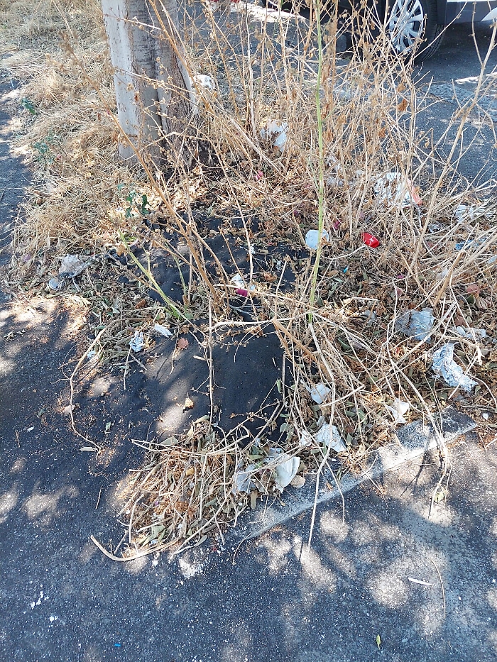 172021111-168de1fb-4409-46df-8e05-20b4efc1d629