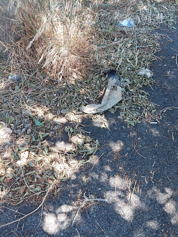 172021527-47081ab2-d20d-4580-b4b5-e2f5f7af8c62