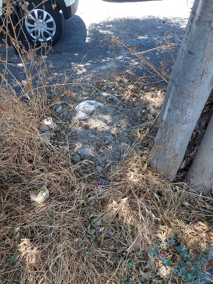 172023609-9e64e73d-969c-4a03-8bc8-df335b467ded