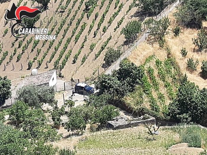 180009992-1be0121a-23e7-4ab2-a650-61150fbd851b