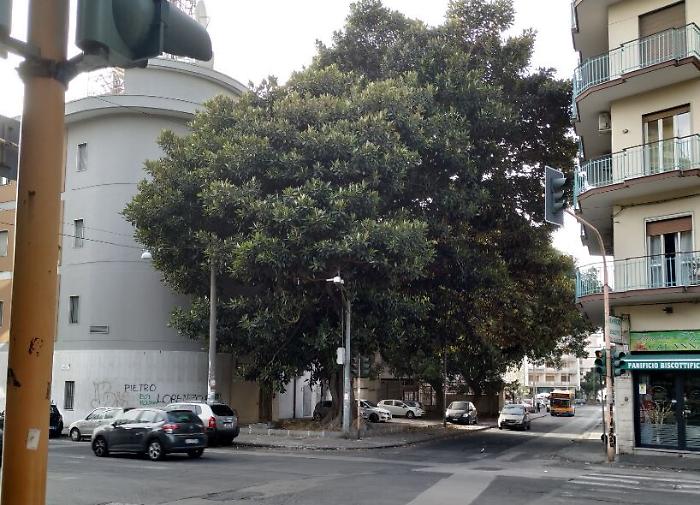 084814052-a22e942f-c765-49a2-aba2-b32884a96b12