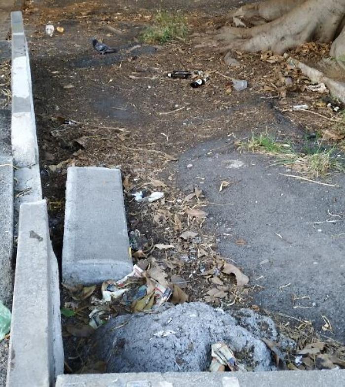 084814340-1040f363-d36e-4ba6-8576-f0b7427b8e40