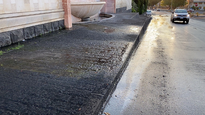 152609475-83a1fd06-245f-437d-b441-ac4589e436a9