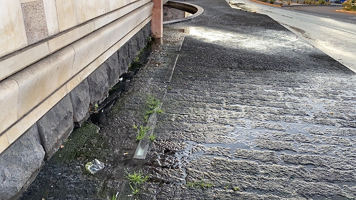 152609549-8c2c7f55-0210-4483-bf39-1387ff01d876