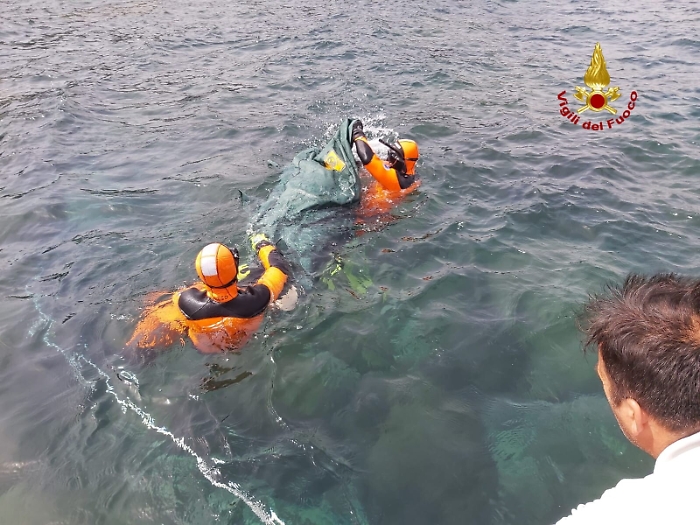 190242980-c789d231-55ba-4067-86fe-c13a80c2b7cf