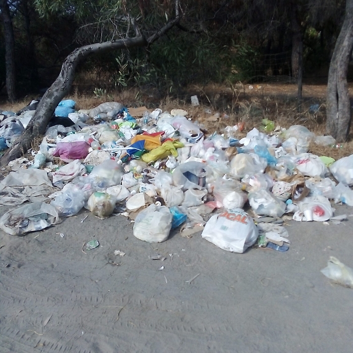 163015360-59d3b0c4-02c4-4955-aea7-0f6dcacf2f06