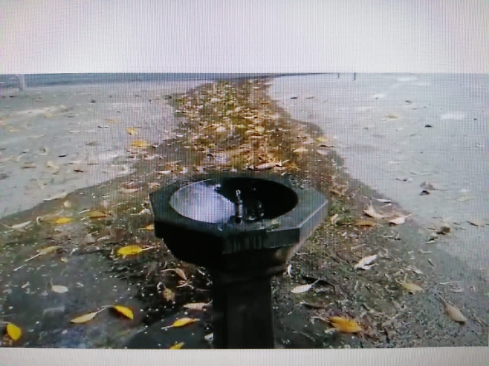 164304697-fbe020dd-adb5-46eb-8375-75f6393b703b