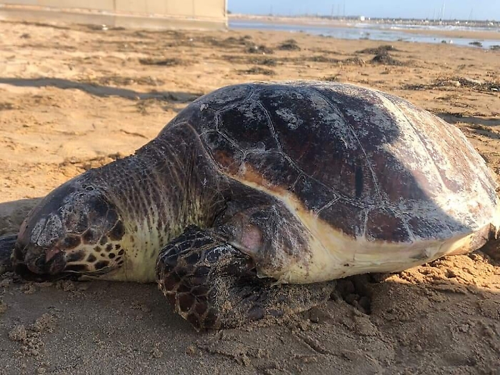 160719954-56b9effa-f75d-4040-9c24-1233ec2e2ce6