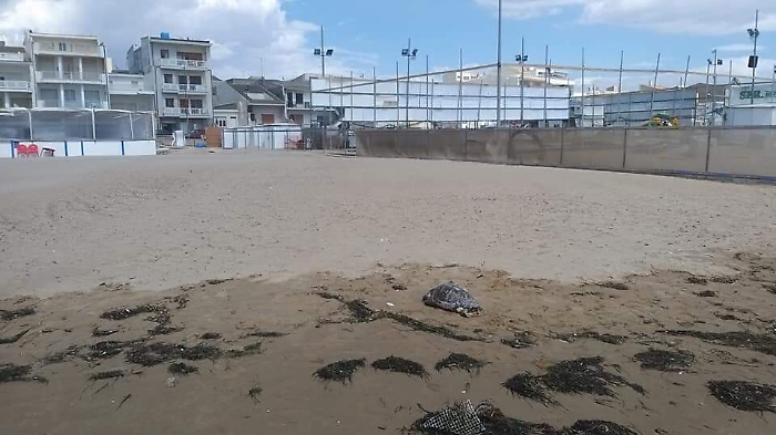 160720074-60454f7e-9545-4539-8860-5c478aafa82b