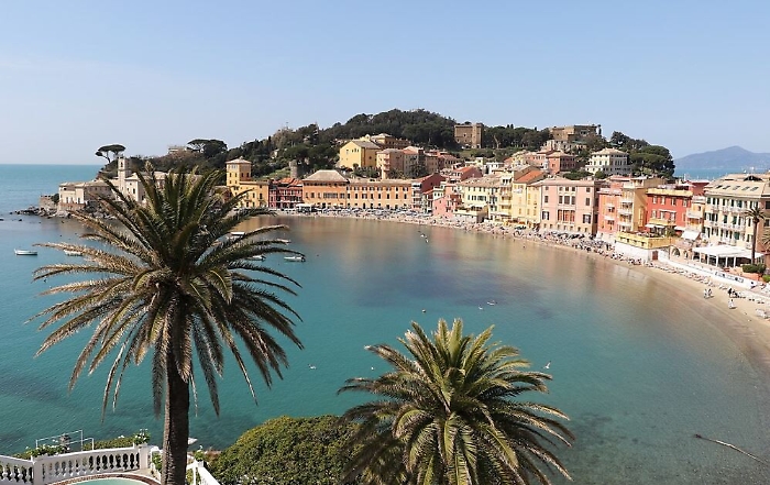 110343220-2056839b-9633-441e-b7ca-5f3b6431422b