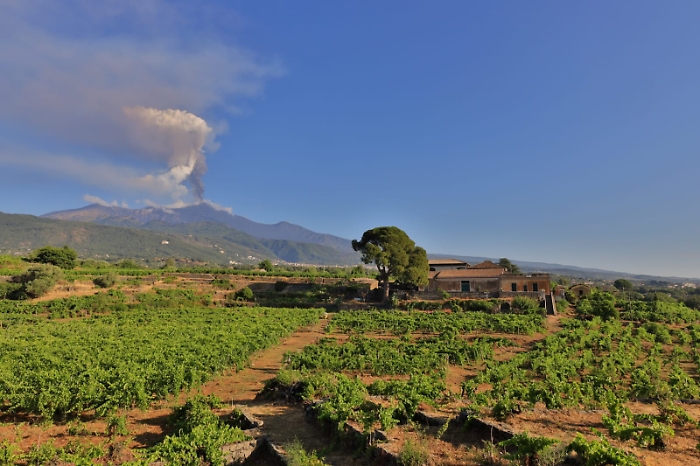 081011130-d35ea8f5-2b7b-41f0-aae2-49ff0ff7e38c