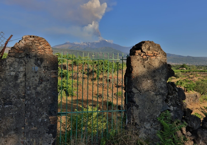 081011393-81e21766-7c07-47c6-a60f-abb2ddcc177d