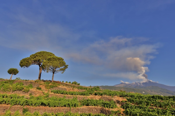 081013545-efb0762e-357f-432a-bb6c-d8287c4361fe