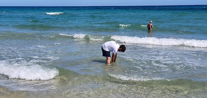 111235076-dd9afe6a-5901-40f5-a829-30b68d84cbf5