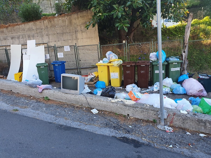 153301545-5619a7e7-4d1d-423f-bfc6-b4b385154ef4