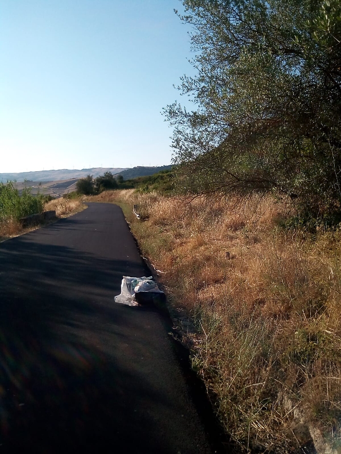 160059269-cf75735e-bfac-423a-9b0b-b0bf3b9505e0