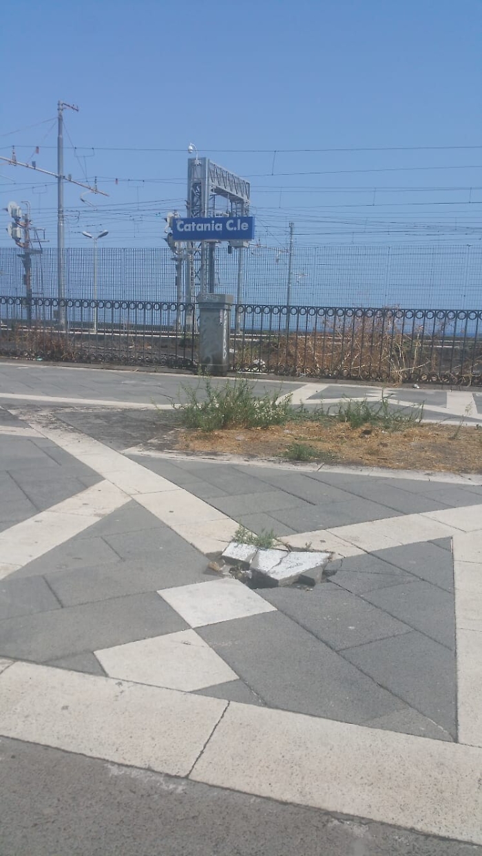 180040250-6c29994e-8e4c-45a6-8537-10e9c1217c24