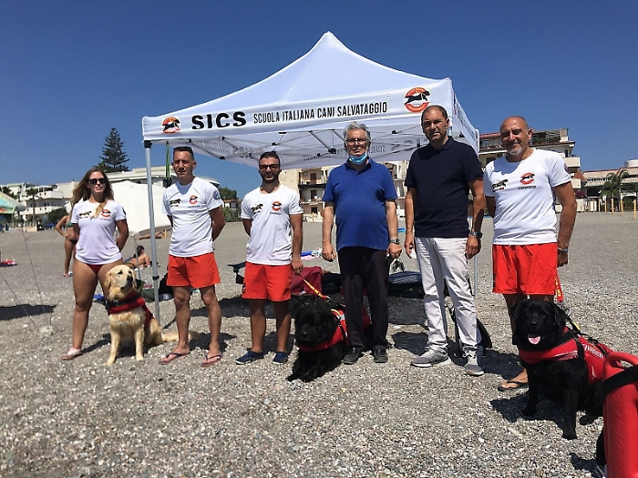 120415409-1d9738f8-9ea8-4238-bdee-224068511f84