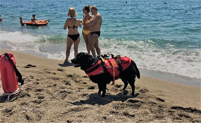 120533692-0ad81d7a-22d1-400e-82c9-c5901c23dd69