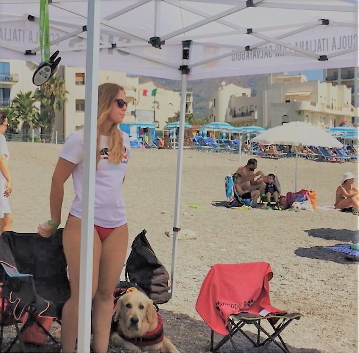 120533894-c472734a-fe3b-45c1-861d-1390c38523ab