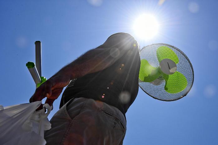 121719201-34251d0e-d8a4-493c-bd72-268091097ba6