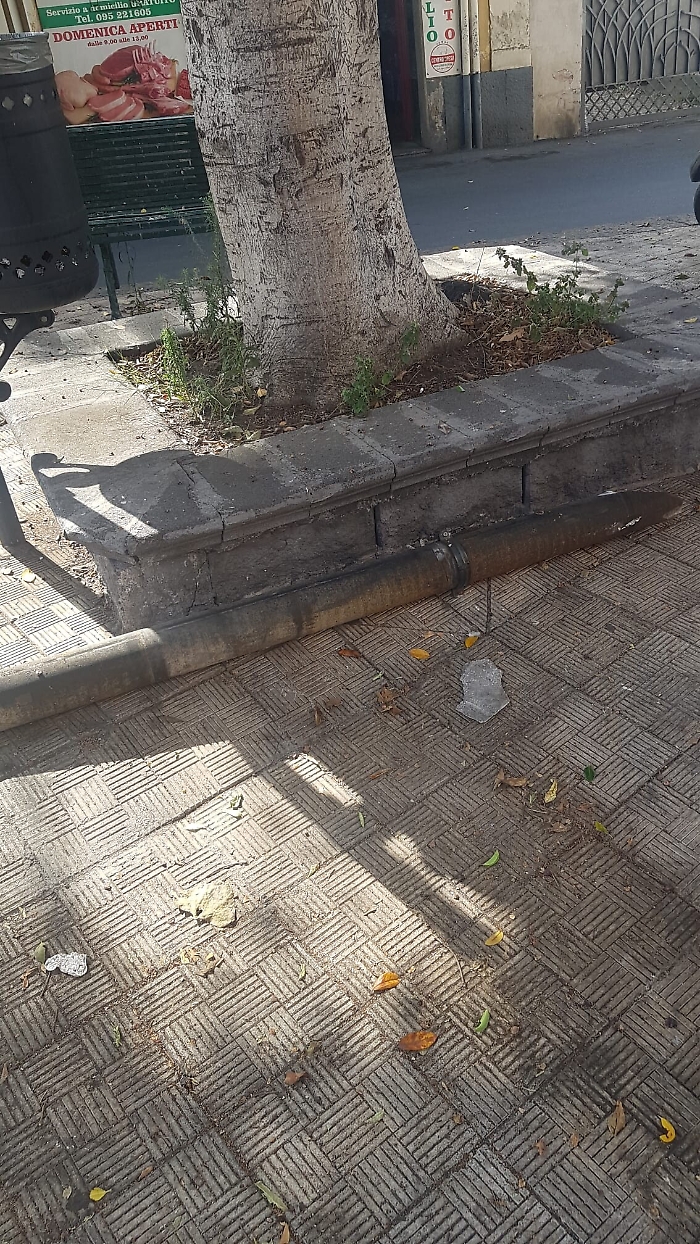 110046070-2801cf13-212e-42ca-bfb0-8202c1e6b223