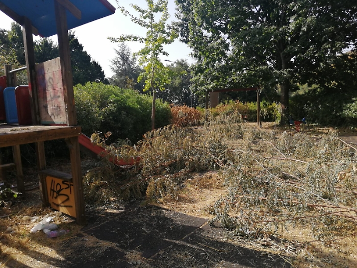 110610477-290049cb-82b7-4585-89ce-56df484d778c