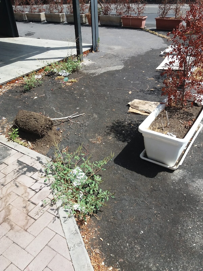 102727390-d8819750-7c90-47ee-8171-58b02f5df5b3