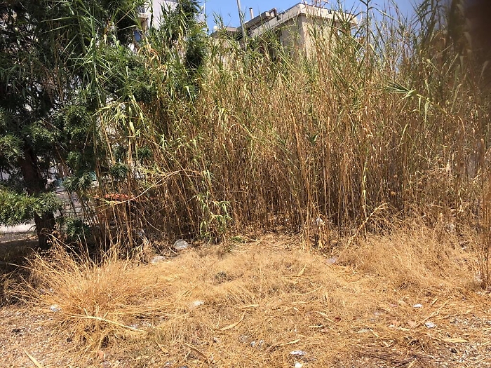 154009310-50744a7b-44e8-4220-8d23-63f0a90d22e7