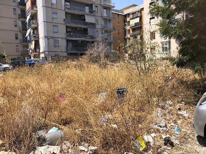 154012466-4f048966-661f-4c30-8675-5554392b9527