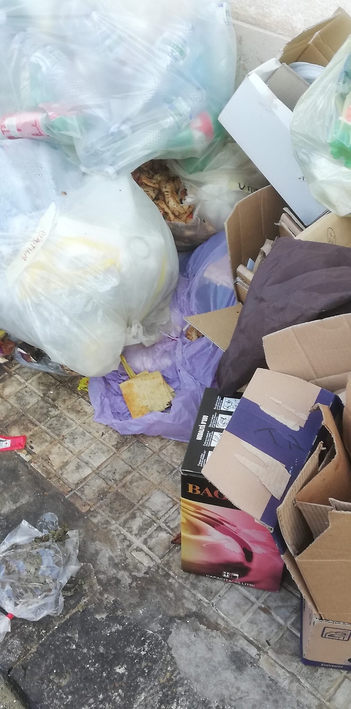 150707370-c3f404ae-b785-4b02-8833-d808c60ba85d