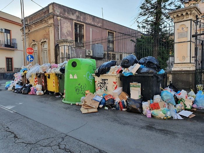 083909071-b78c417f-e593-4c5d-8619-d4a23e1d938b