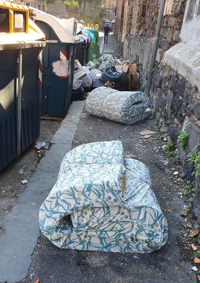 083909358-a26d32d6-a640-4c5b-bdc9-0be4176fc4ab