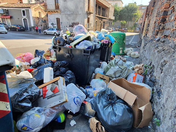 084025965-12a25cf6-777f-4af2-9c1b-2ce6564bf46f